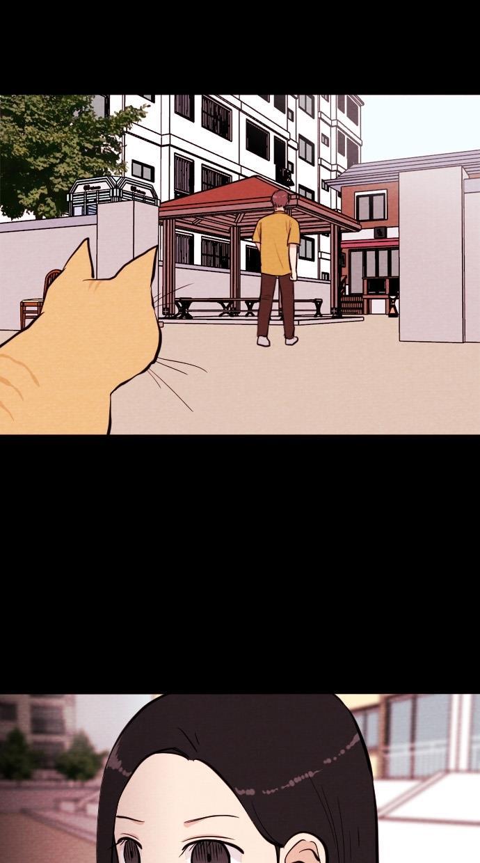 代价贩卖机韩漫全集-[第74话] 流浪猫（4）无删减无遮挡章节图片 