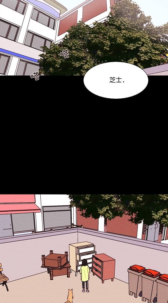 代价贩卖机韩漫全集-[第74话] 流浪猫（4）无删减无遮挡章节图片 