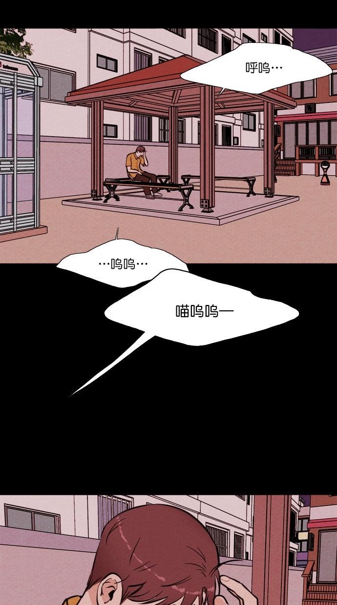 代价贩卖机韩漫全集-[第74话] 流浪猫（4）无删减无遮挡章节图片 
