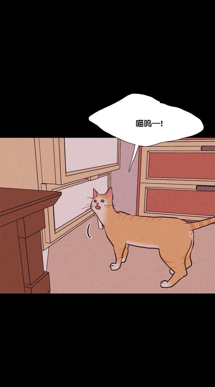 代价贩卖机韩漫全集-[第74话] 流浪猫（4）无删减无遮挡章节图片 