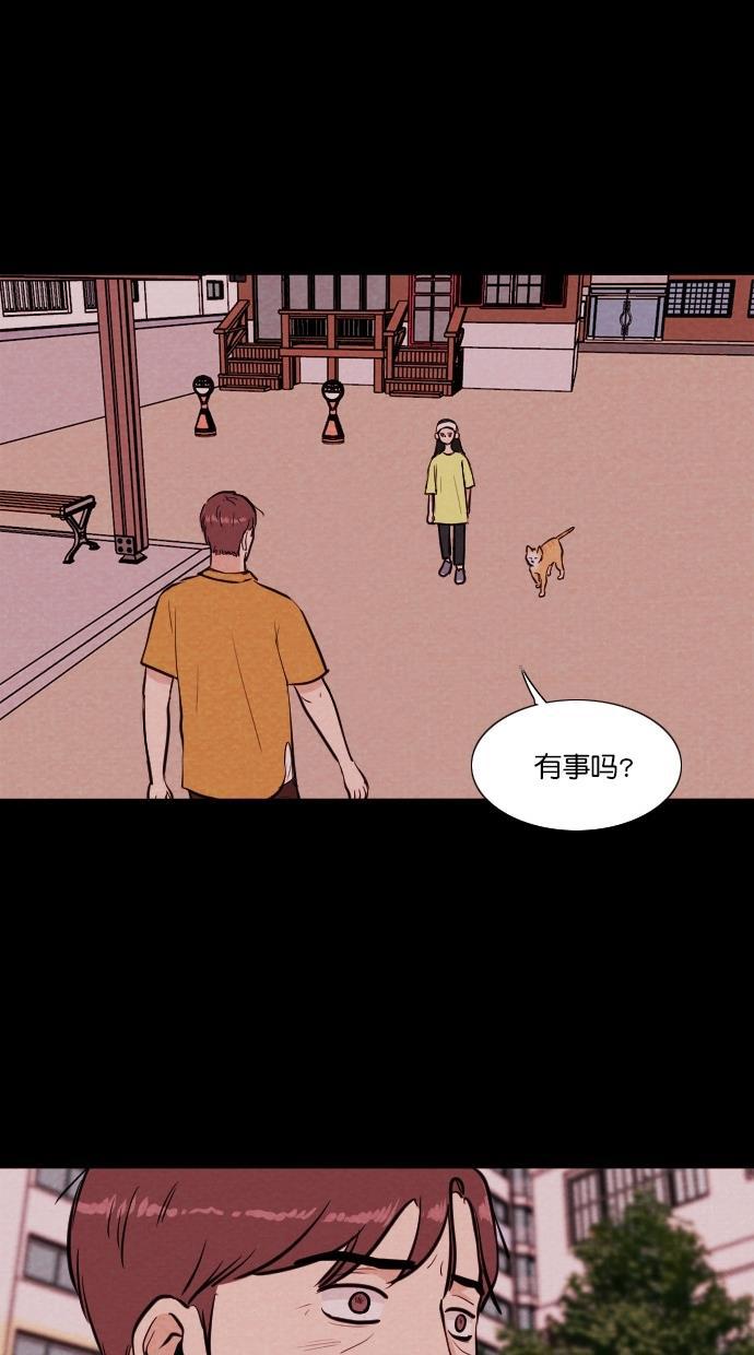 代价贩卖机韩漫全集-[第74话] 流浪猫（4）无删减无遮挡章节图片 