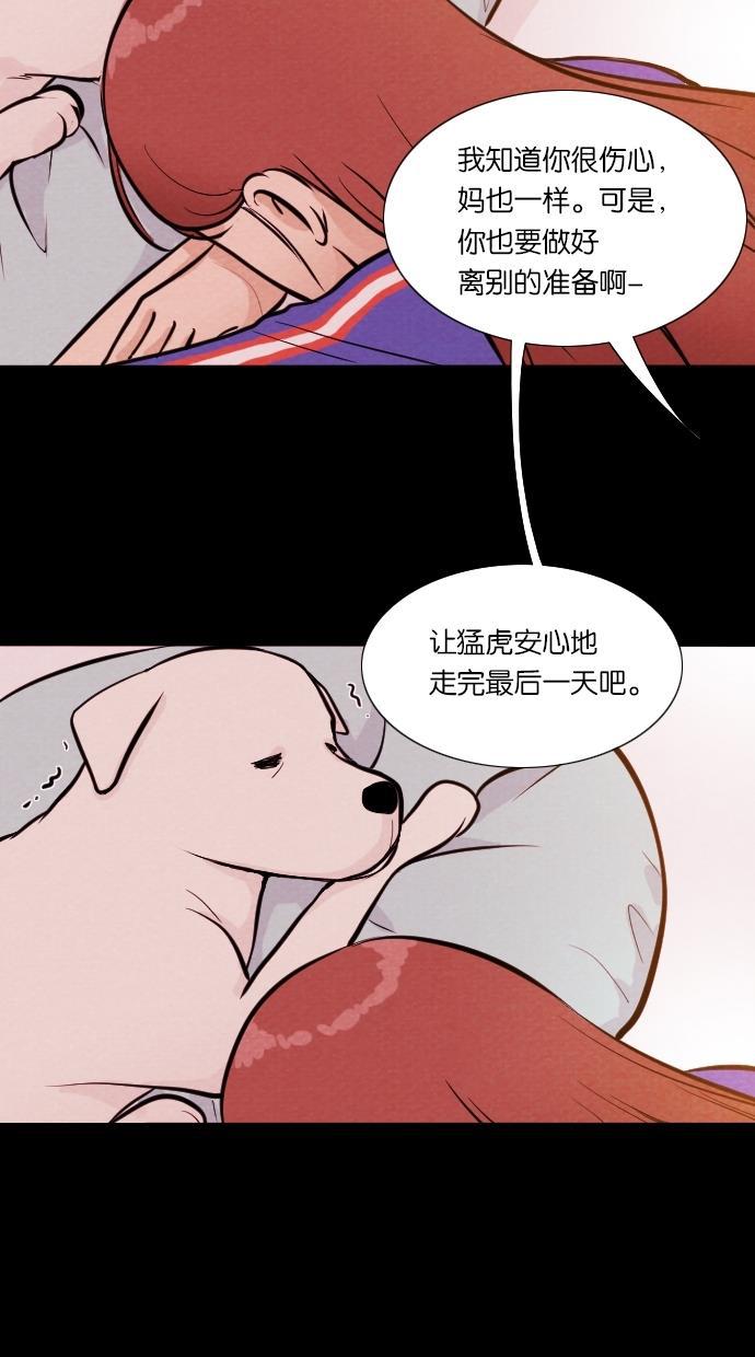 代价贩卖机韩漫全集-[第11话] 猛虎（1）无删减无遮挡章节图片 