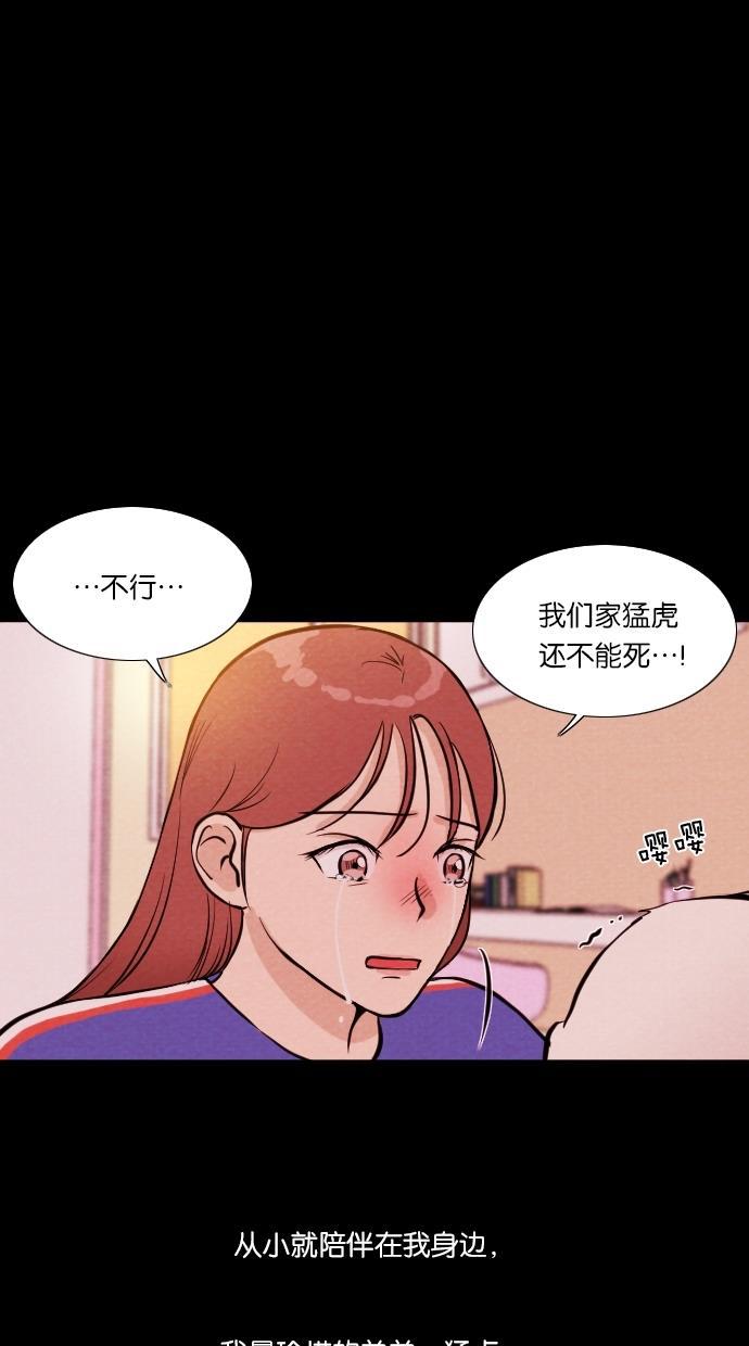 代价贩卖机韩漫全集-[第11话] 猛虎（1）无删减无遮挡章节图片 