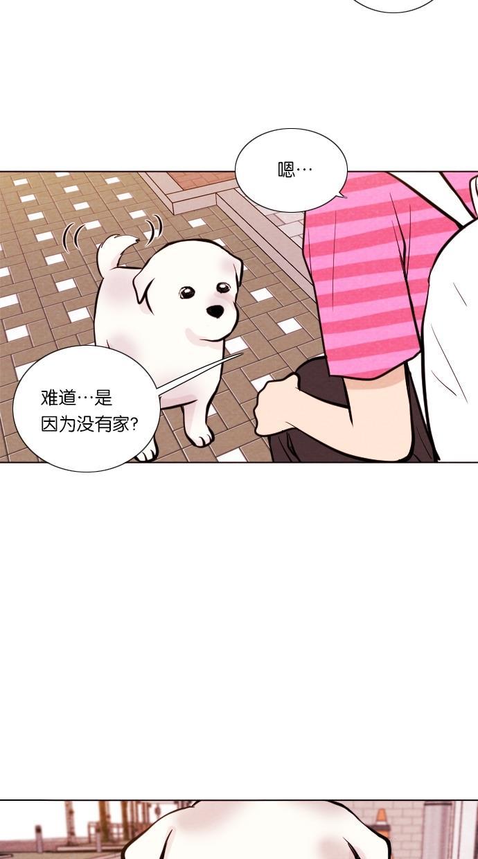 代价贩卖机韩漫全集-[第11话] 猛虎（1）无删减无遮挡章节图片 