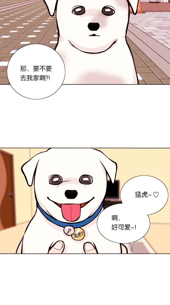 代价贩卖机韩漫全集-[第11话] 猛虎（1）无删减无遮挡章节图片 
