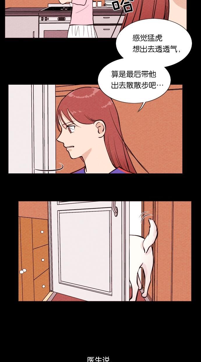 代价贩卖机韩漫全集-[第11话] 猛虎（1）无删减无遮挡章节图片 