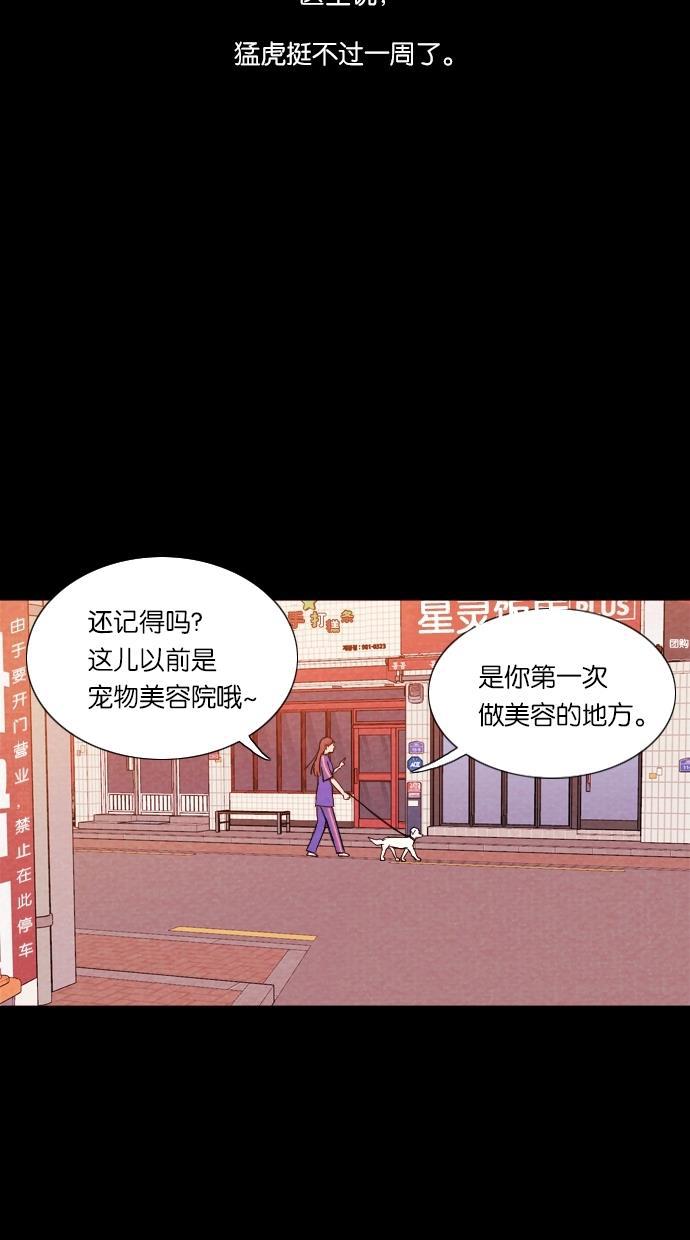 代价贩卖机韩漫全集-[第11话] 猛虎（1）无删减无遮挡章节图片 