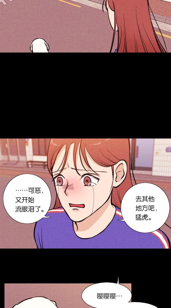 代价贩卖机韩漫全集-[第11话] 猛虎（1）无删减无遮挡章节图片 