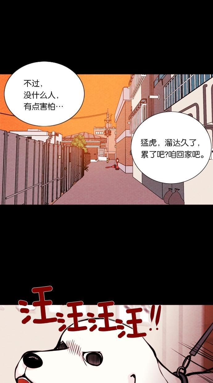 代价贩卖机韩漫全集-[第11话] 猛虎（1）无删减无遮挡章节图片 