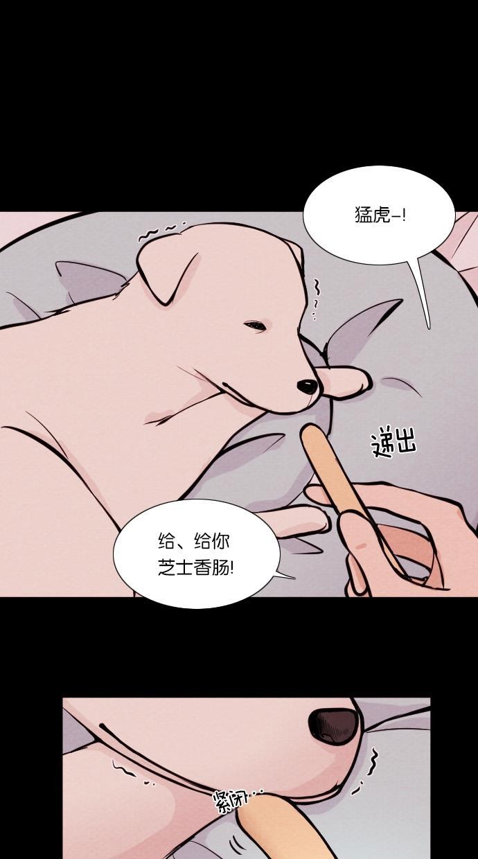 代价贩卖机韩漫全集-[第11话] 猛虎（1）无删减无遮挡章节图片 