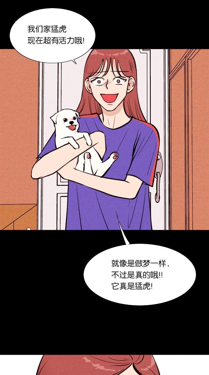 代价贩卖机韩漫全集-[第12话] 猛虎（2）无删减无遮挡章节图片 