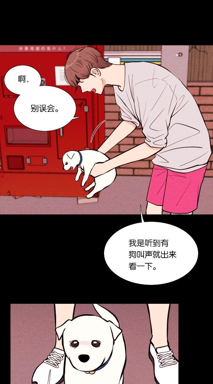 代价贩卖机韩漫全集-[第13话] 猛虎（3）无删减无遮挡章节图片 