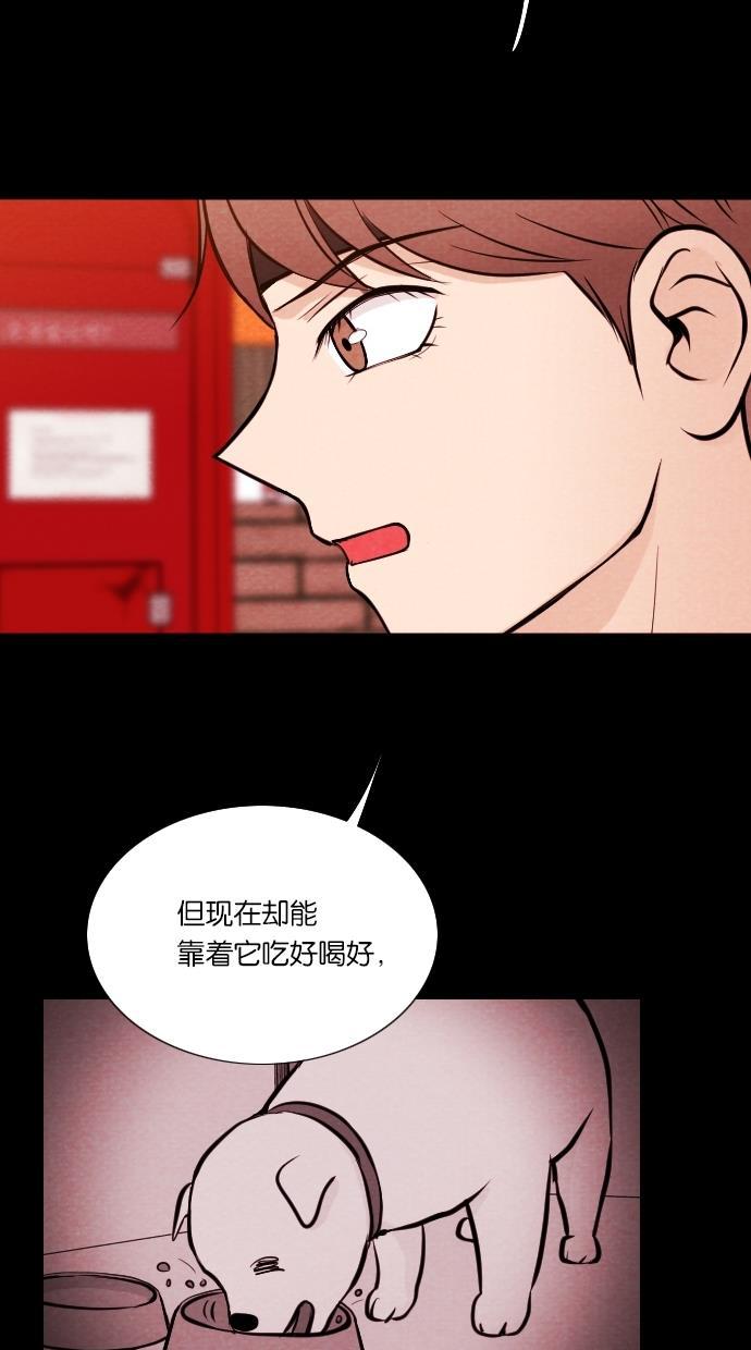 代价贩卖机韩漫全集-[第13话] 猛虎（3）无删减无遮挡章节图片 