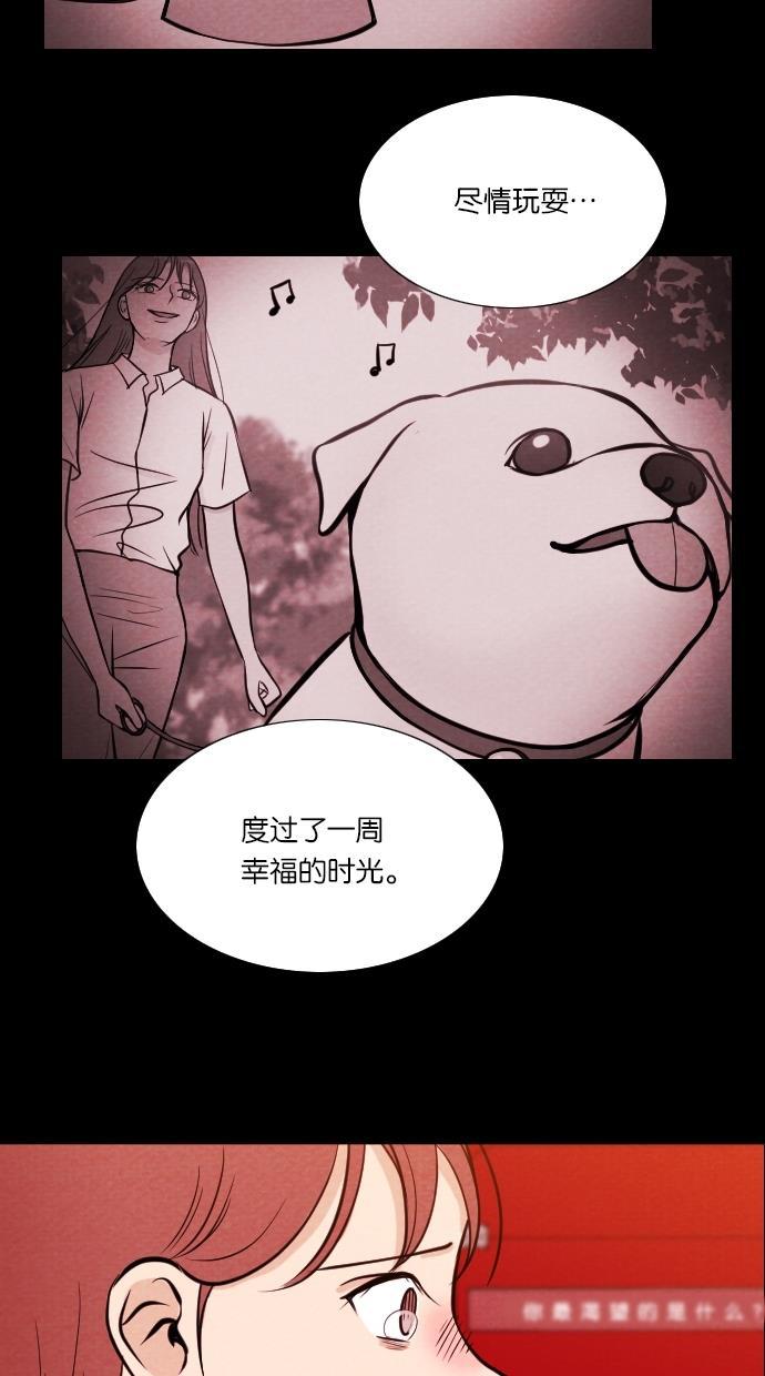 代价贩卖机韩漫全集-[第13话] 猛虎（3）无删减无遮挡章节图片 