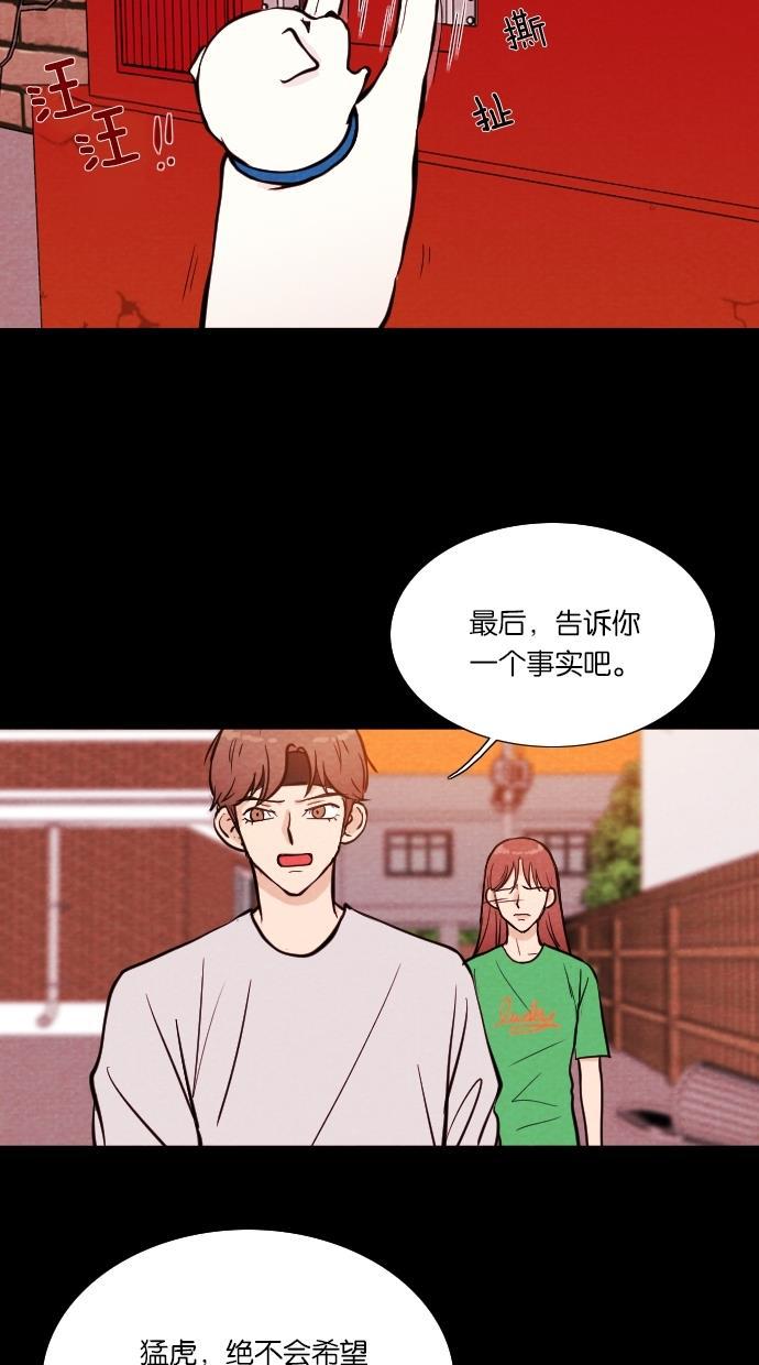 代价贩卖机韩漫全集-[第13话] 猛虎（3）无删减无遮挡章节图片 