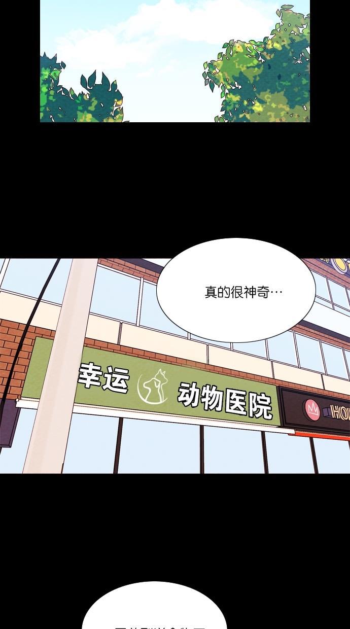 代价贩卖机韩漫全集-[第13话] 猛虎（3）无删减无遮挡章节图片 