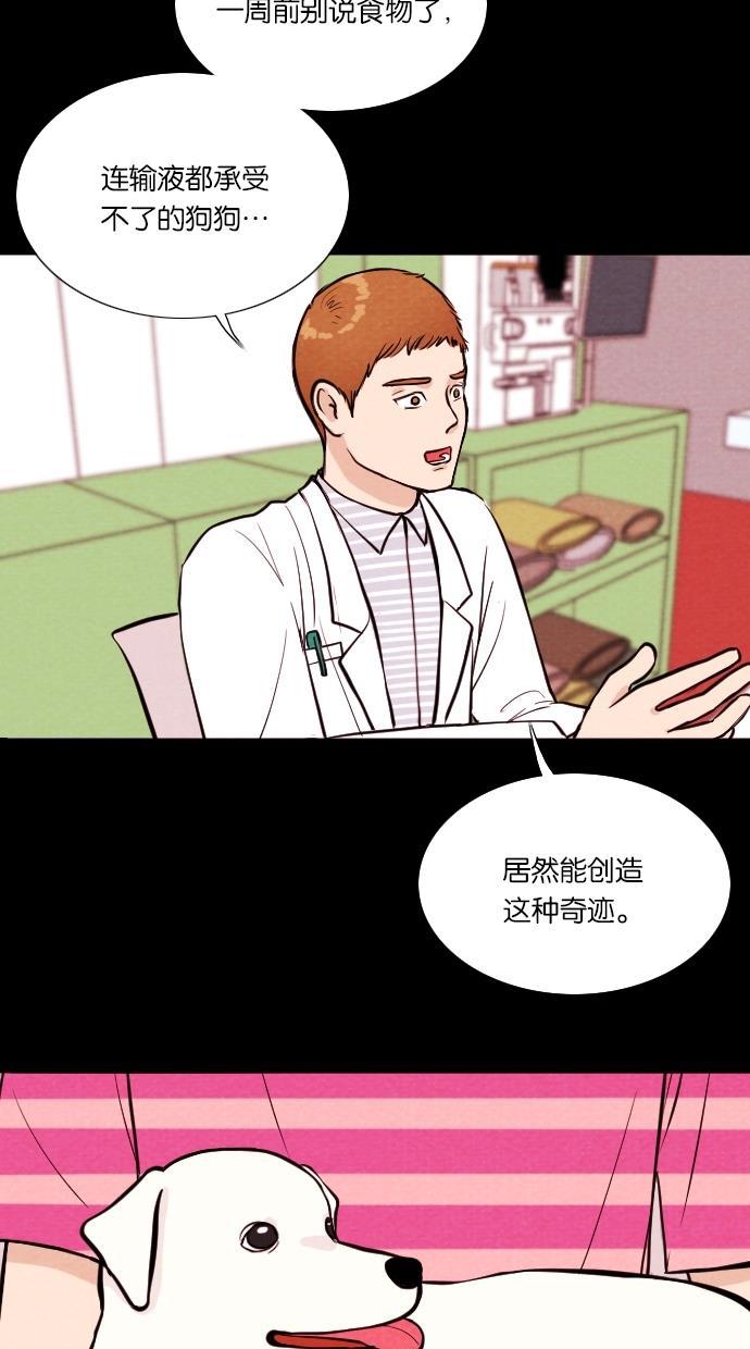 代价贩卖机韩漫全集-[第13话] 猛虎（3）无删减无遮挡章节图片 