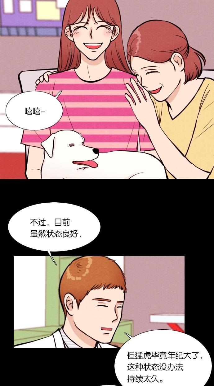 代价贩卖机韩漫全集-[第13话] 猛虎（3）无删减无遮挡章节图片 