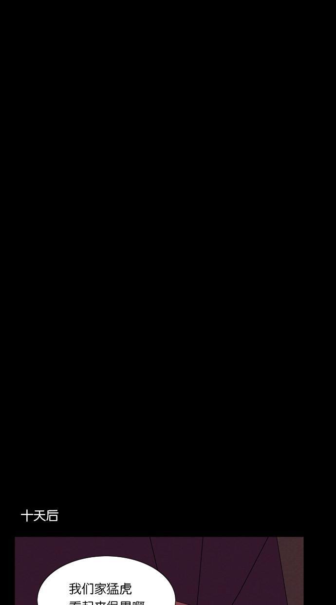 代价贩卖机韩漫全集-[第13话] 猛虎（3）无删减无遮挡章节图片 