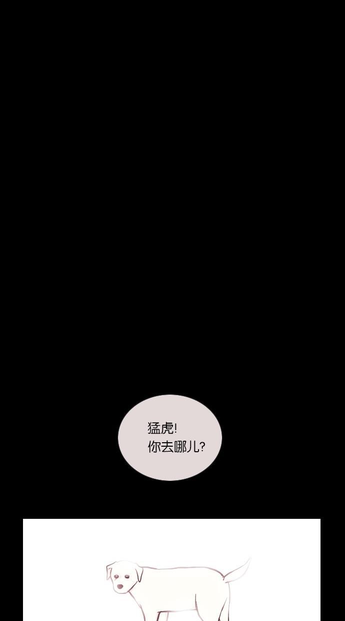 代价贩卖机韩漫全集-[第13话] 猛虎（3）无删减无遮挡章节图片 