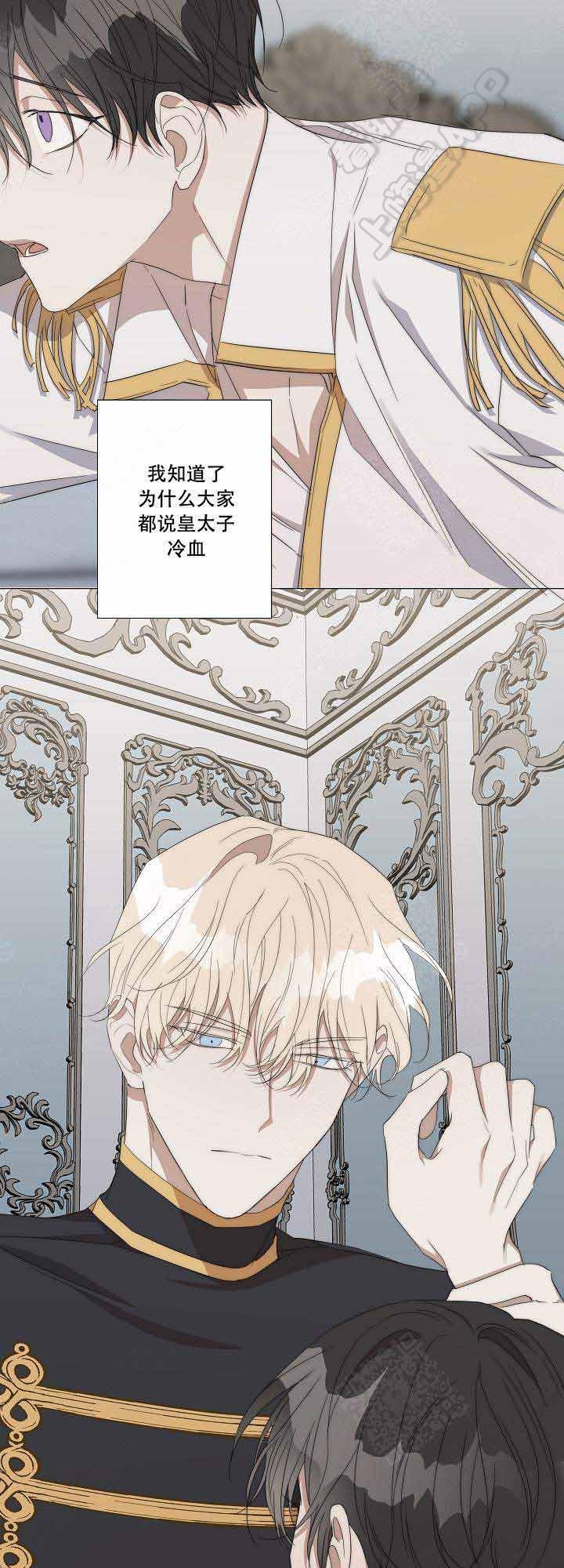 偷心的贼韩漫全集-第40话无删减无遮挡章节图片 