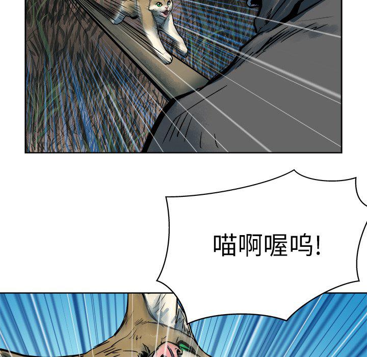 列王战记韩漫全集-第14话无删减无遮挡章节图片 