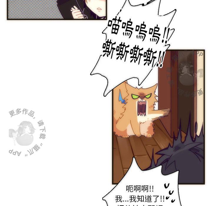 勇者生涯结束之后韩漫全集-5无删减无遮挡章节图片 