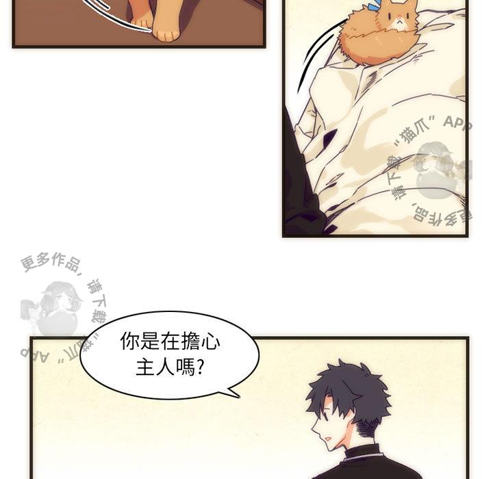 勇者生涯结束之后韩漫全集-5无删减无遮挡章节图片 