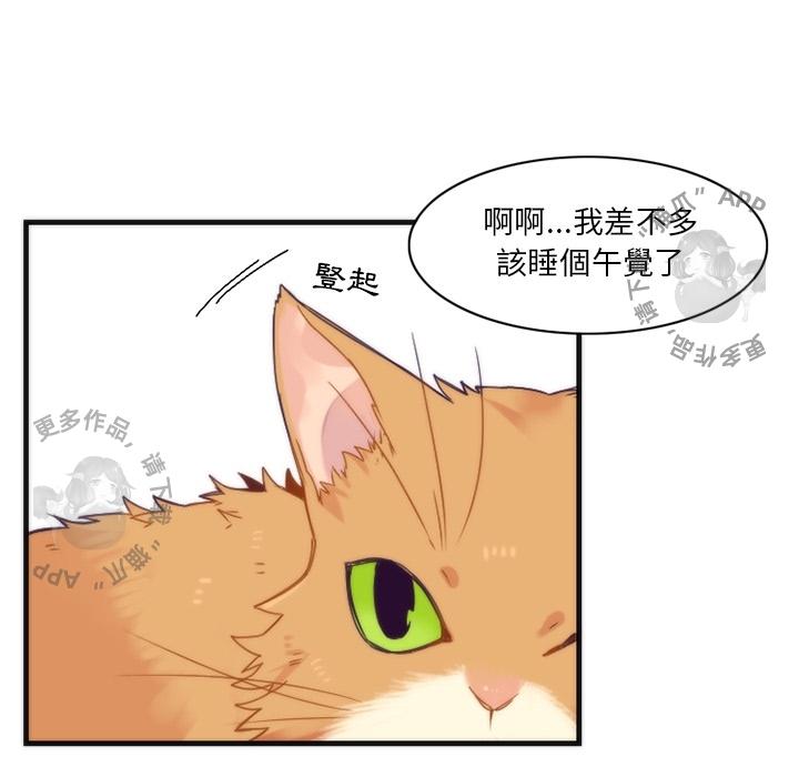 勇者生涯结束之后韩漫全集-15无删减无遮挡章节图片 