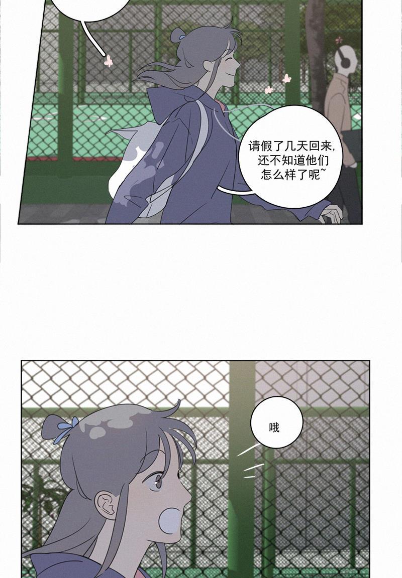 海贼王娜美同人漫画-第83话全彩韩漫标签