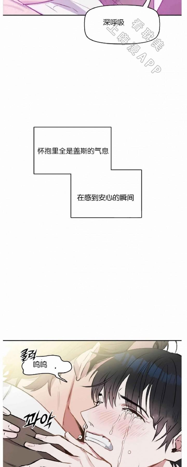 吻我骗子韩漫全集-第19章无删减无遮挡章节图片 