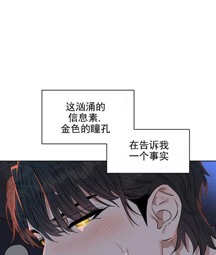 吻我骗子韩漫全集-第55话无删减无遮挡章节图片 