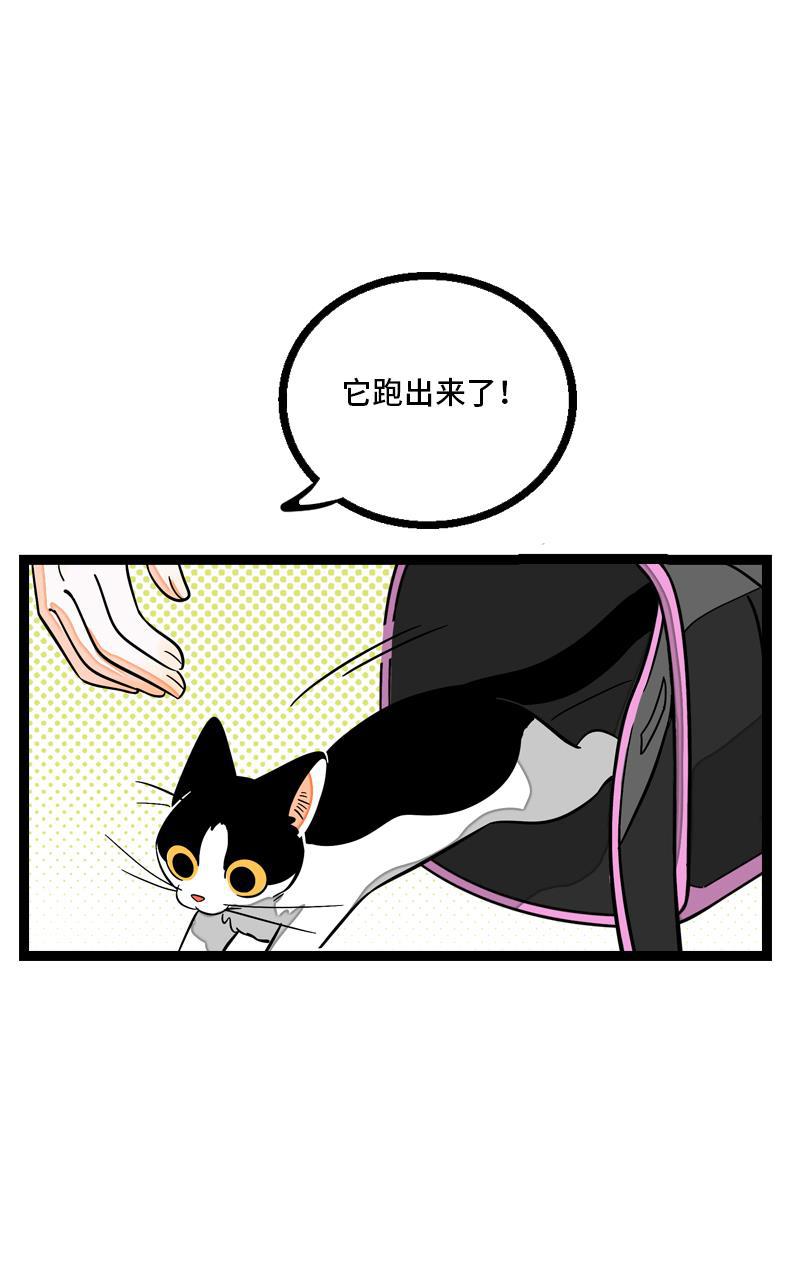 周一至周末韩漫全集-第10话 叫我的名字就好无删减无遮挡章节图片 