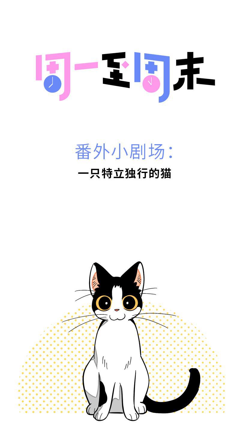 星太奇漫画全集-第11话 一只特立独行的猫全彩韩漫标签