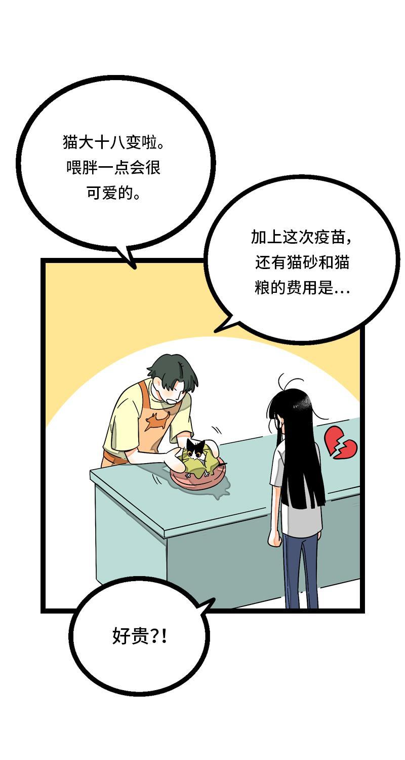 周一至周末韩漫全集-第11话 一只特立独行的猫无删减无遮挡章节图片 
