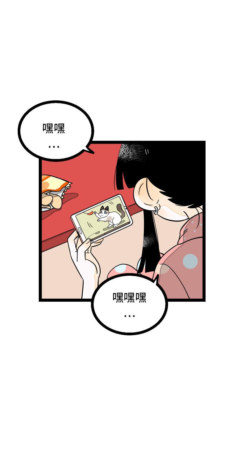 周一至周末韩漫全集-第11话 一只特立独行的猫无删减无遮挡章节图片 