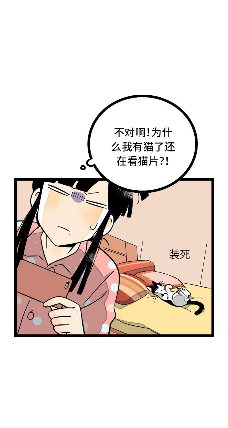 周一至周末韩漫全集-第11话 一只特立独行的猫无删减无遮挡章节图片 