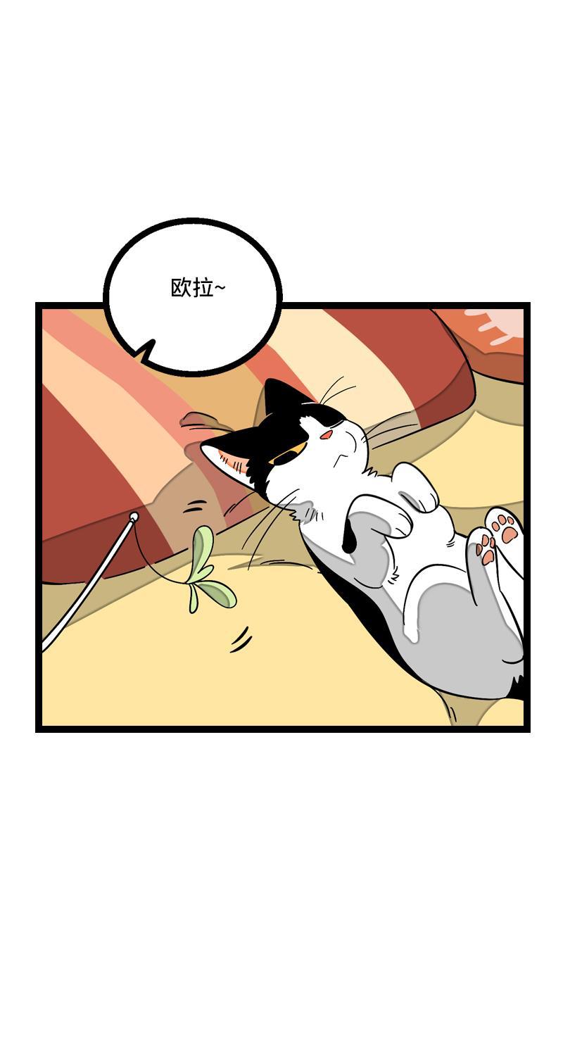 周一至周末韩漫全集-第11话 一只特立独行的猫无删减无遮挡章节图片 