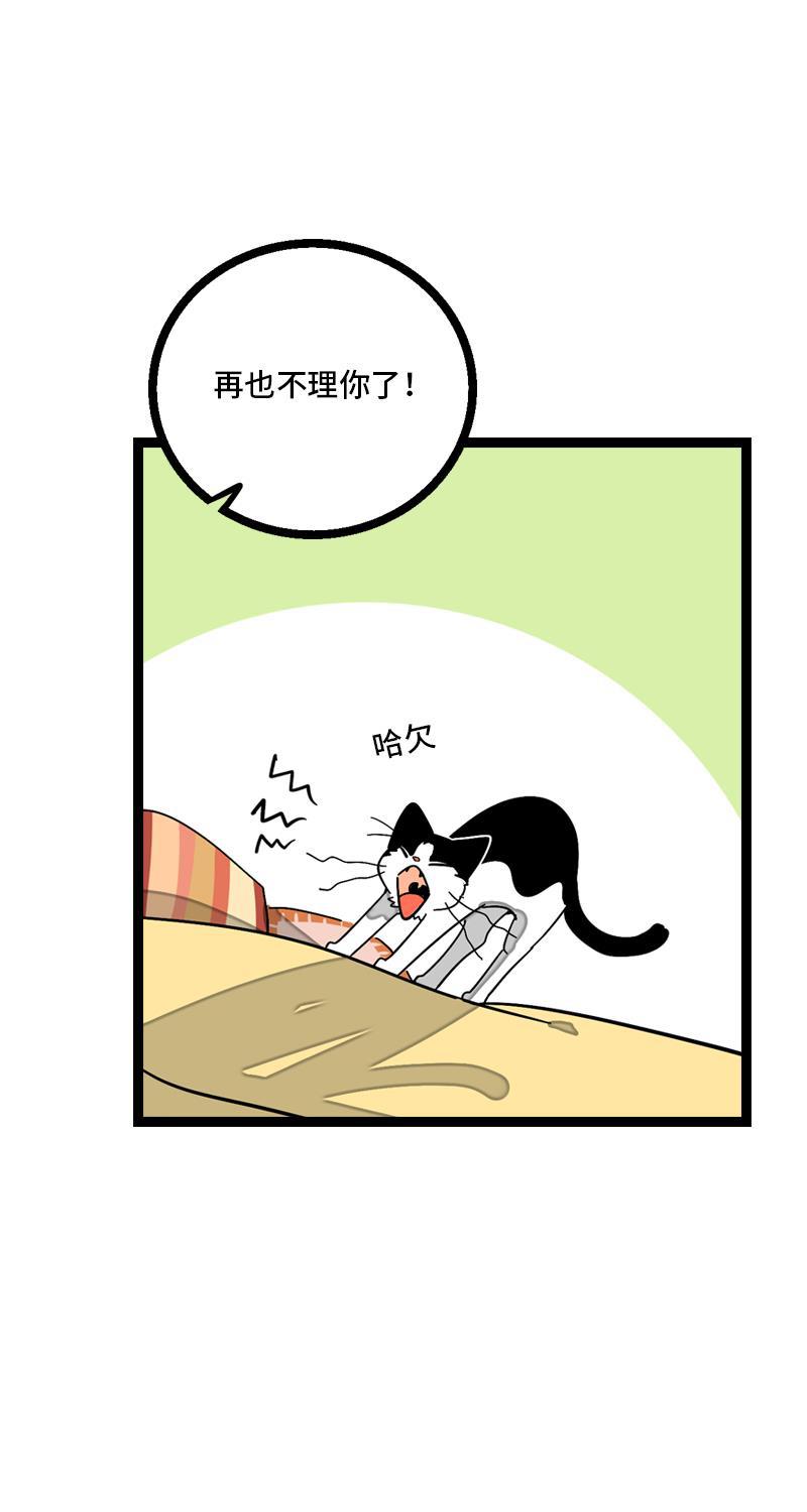 周一至周末韩漫全集-第11话 一只特立独行的猫无删减无遮挡章节图片 