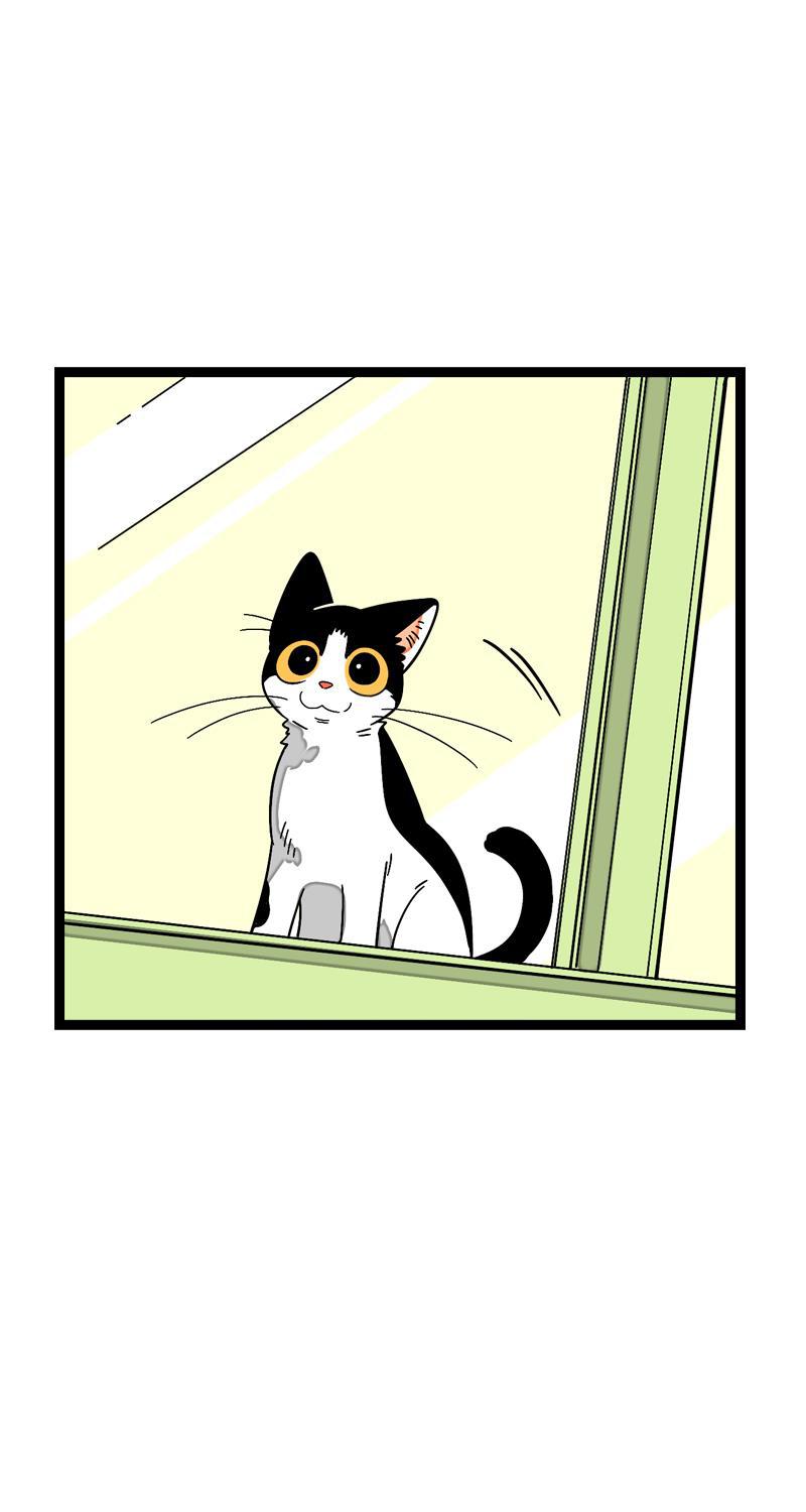 周一至周末韩漫全集-第11话 一只特立独行的猫无删减无遮挡章节图片 