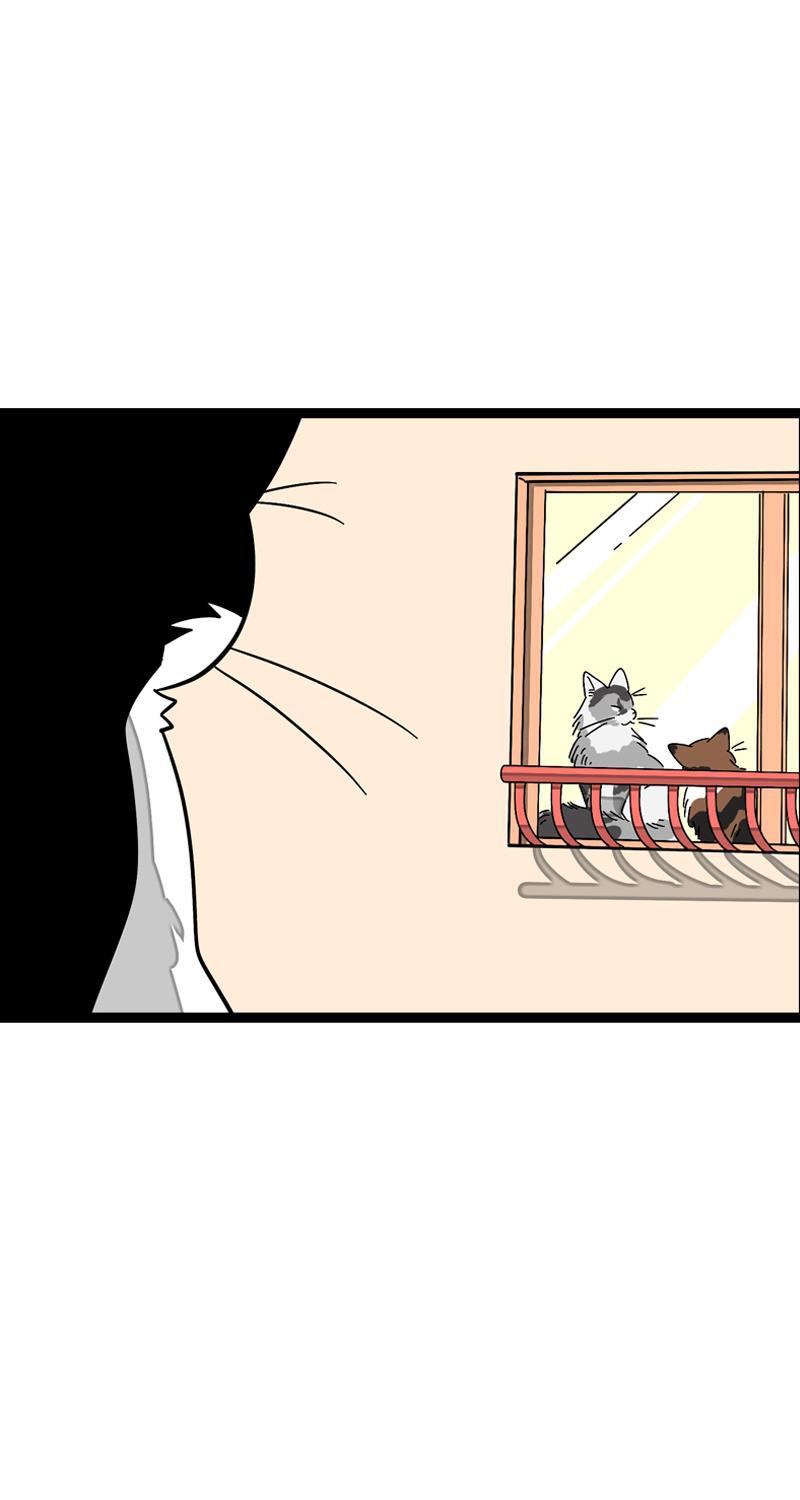 周一至周末韩漫全集-第11话 一只特立独行的猫无删减无遮挡章节图片 