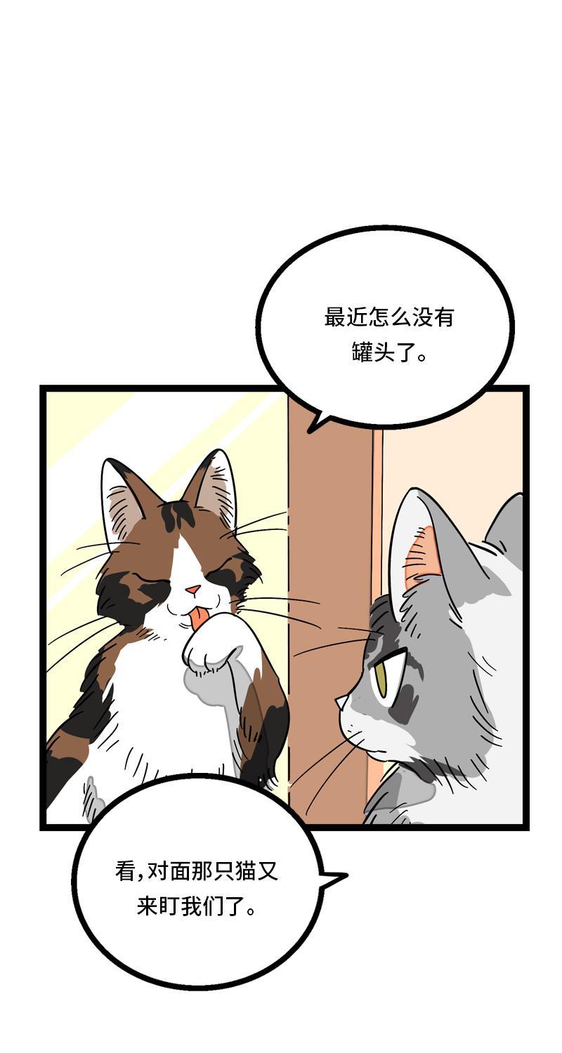 周一至周末韩漫全集-第11话 一只特立独行的猫无删减无遮挡章节图片 