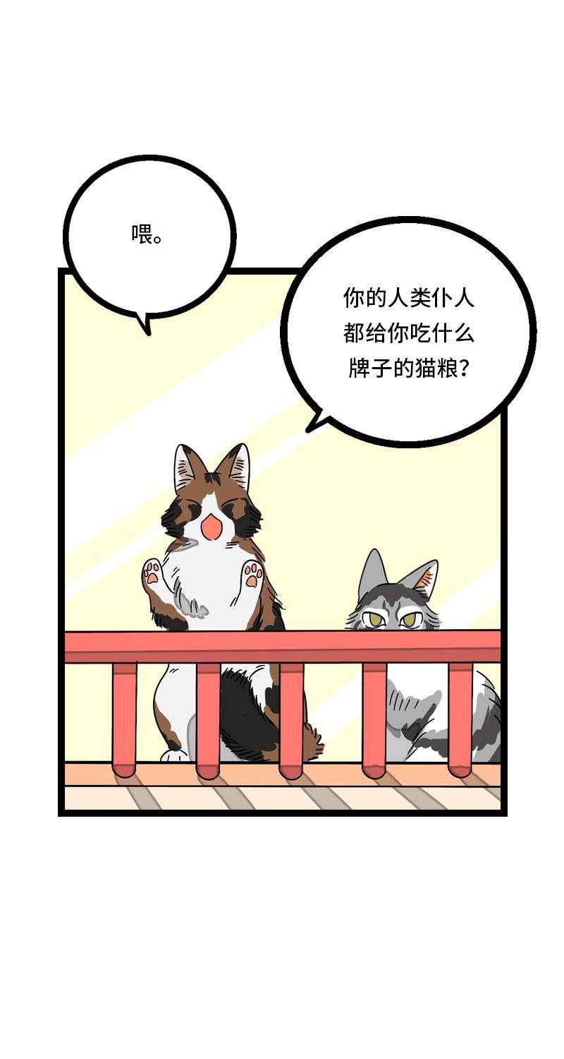 周一至周末韩漫全集-第11话 一只特立独行的猫无删减无遮挡章节图片 