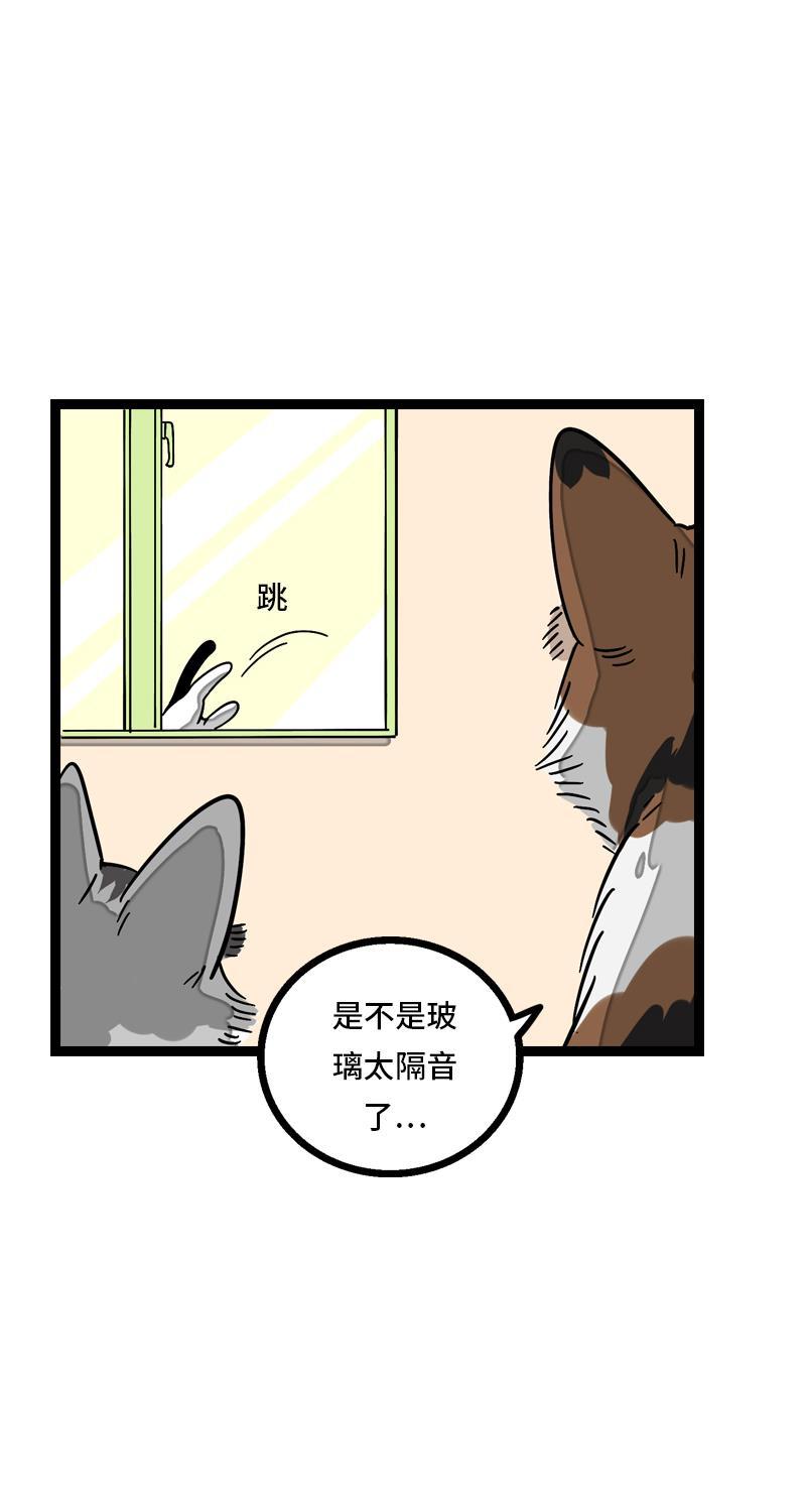 周一至周末韩漫全集-第11话 一只特立独行的猫无删减无遮挡章节图片 