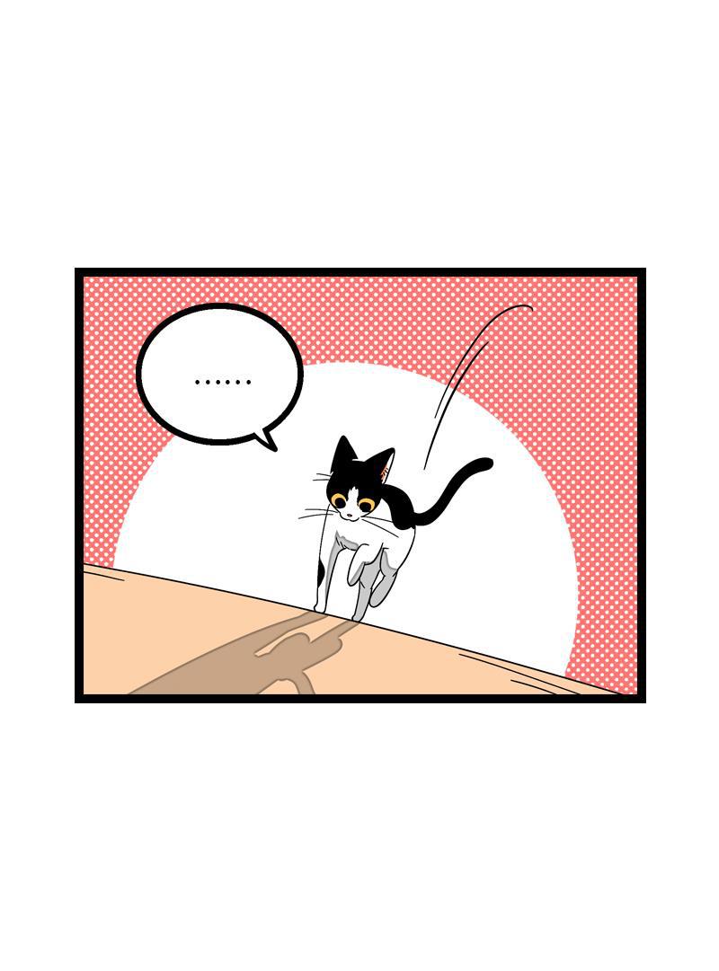 周一至周末韩漫全集-第11话 一只特立独行的猫无删减无遮挡章节图片 