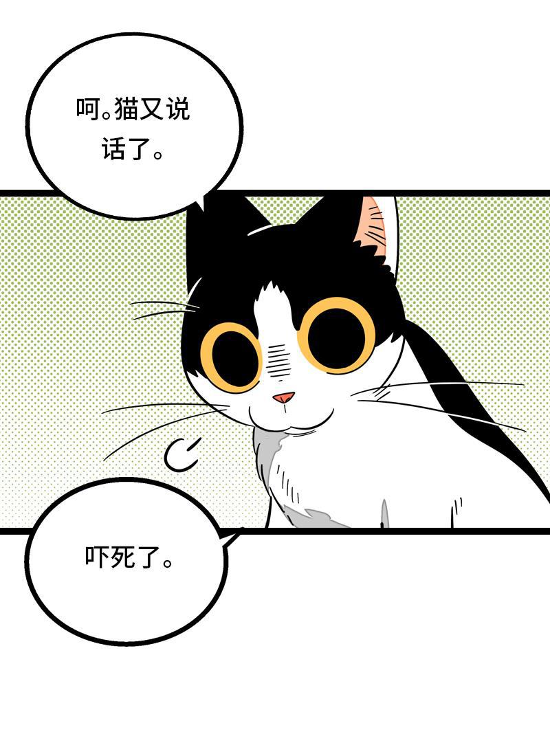 周一至周末韩漫全集-第11话 一只特立独行的猫无删减无遮挡章节图片 