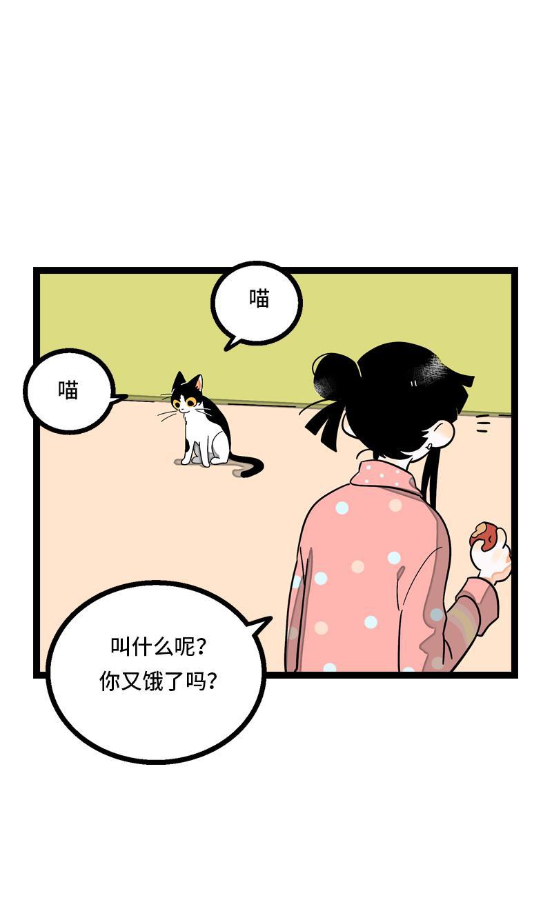周一至周末韩漫全集-第11话 一只特立独行的猫无删减无遮挡章节图片 
