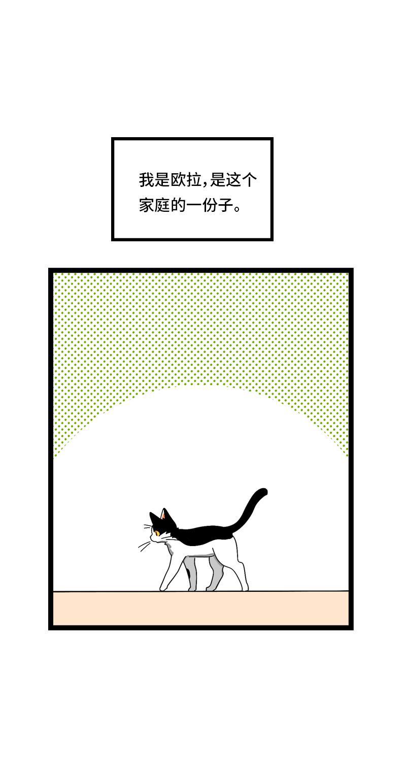 周一至周末韩漫全集-第11话 一只特立独行的猫无删减无遮挡章节图片 