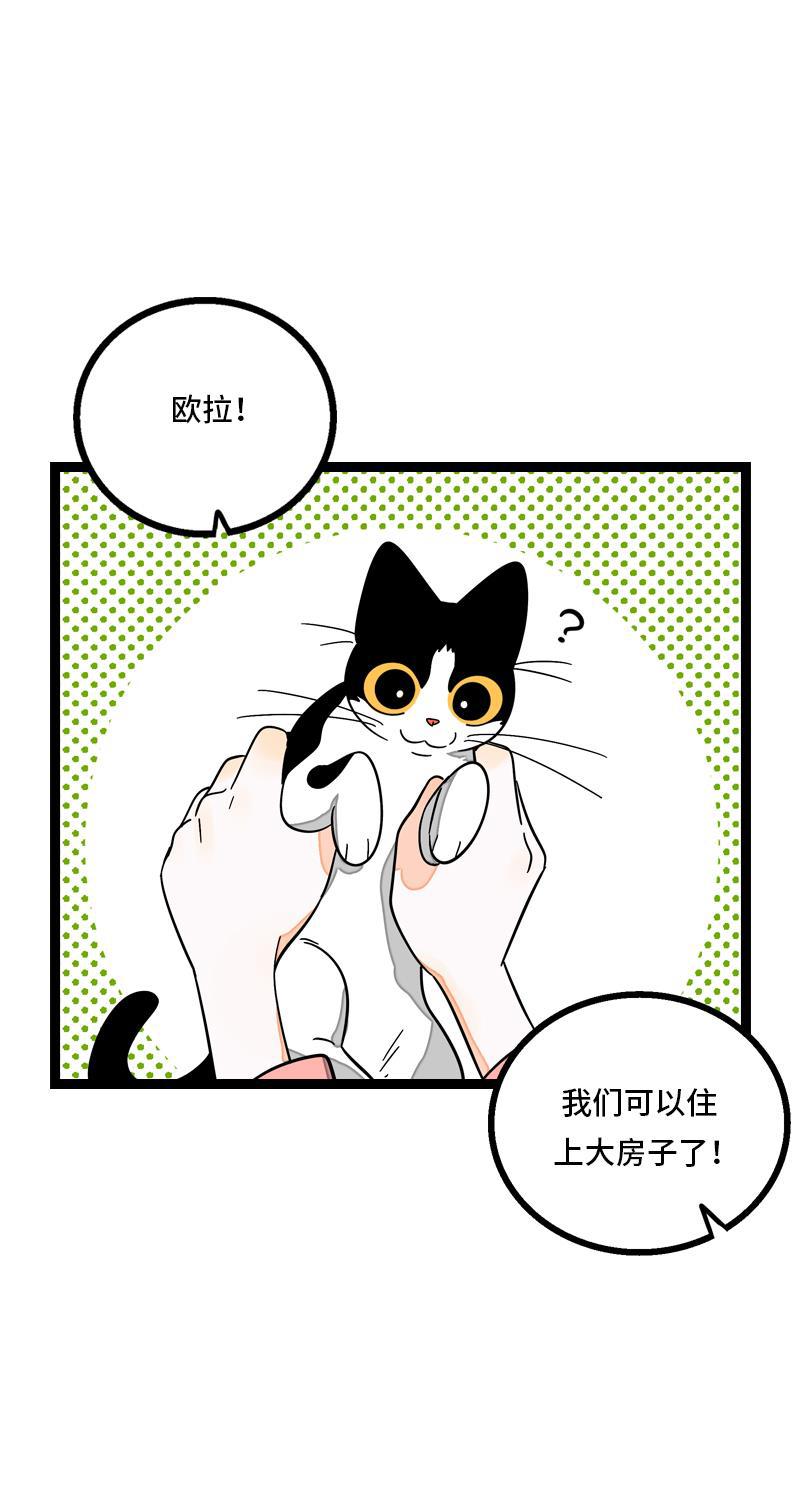周一至周末韩漫全集-第11话 一只特立独行的猫无删减无遮挡章节图片 