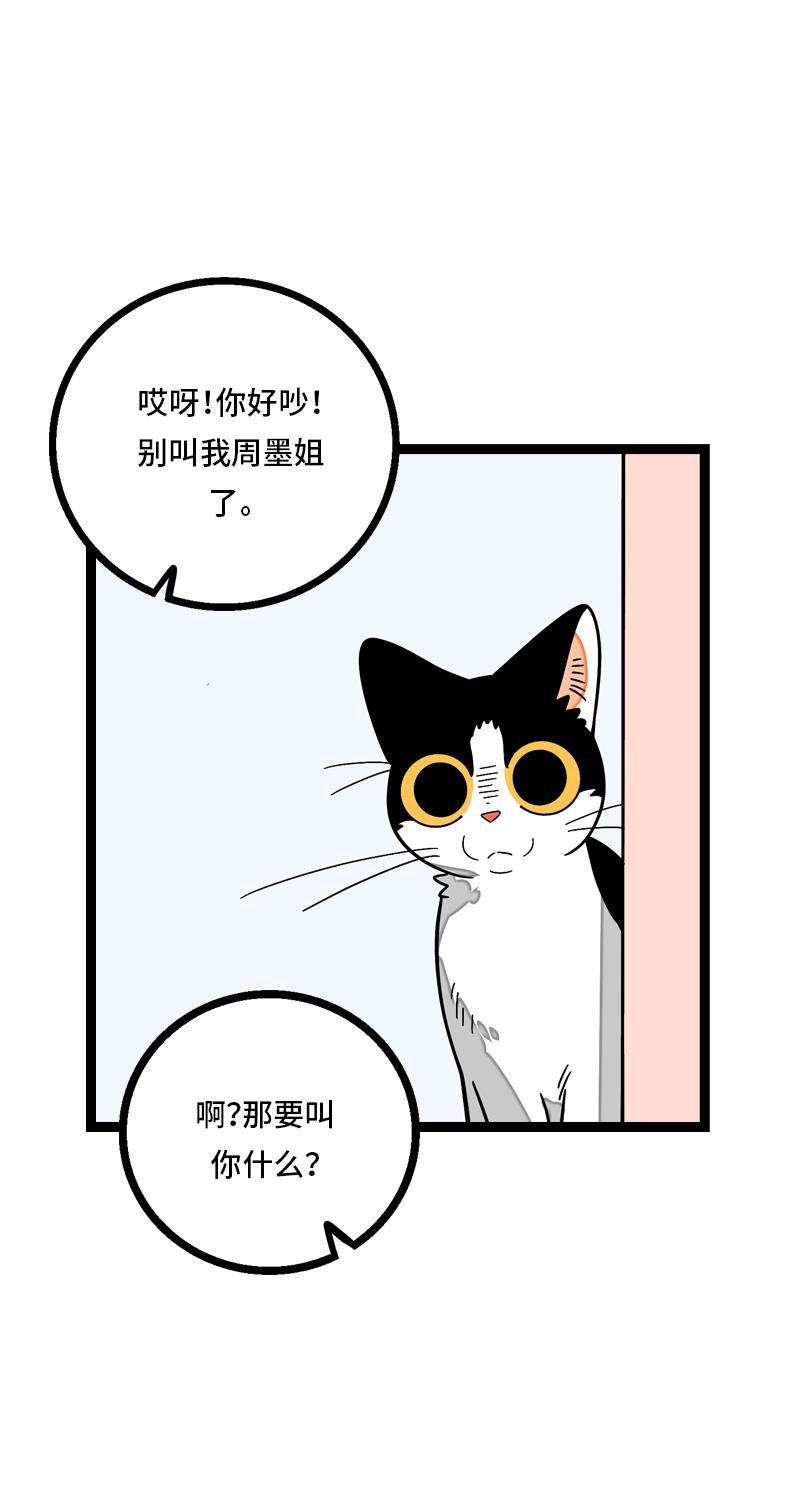 周一至周末韩漫全集-第11话 一只特立独行的猫无删减无遮挡章节图片 